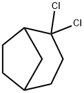 2,2-Dichlorobicyclo[3.2.1]octane,55956-44-0,结构式