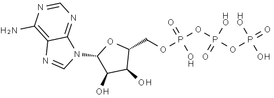 三磷腺苷 结构式