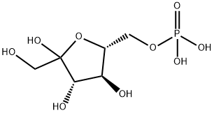 D-Fructofuranose 6-phosphate|