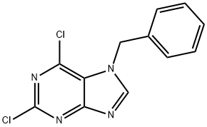 7-benzyl-2,6-dichloro-7H-purine price.
