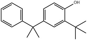 4-(α,α-ジメチルベンジル)-2-tert-ブチルフェノール 化学構造式