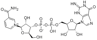 5624-35-1 ニコチンアミドグアニンジヌクレオチド ナトリウム塩