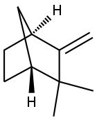 rac-(1R*,4S*)-2,2-ジメチル-3-メチレンビシクロ[2.2.1]ヘプタン 化学構造式