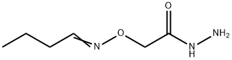 Acetic  acid,  [(butylideneamino)oxy]-,  hydrazide  (9CI)|