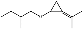 1-(2-Methylbutyloxy)-2-(1-methylethylidene)cyclopropane Structure