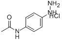 4-ACETAMIDOPHENYLHYDRAZINE HYDROCHLORIDE Structure