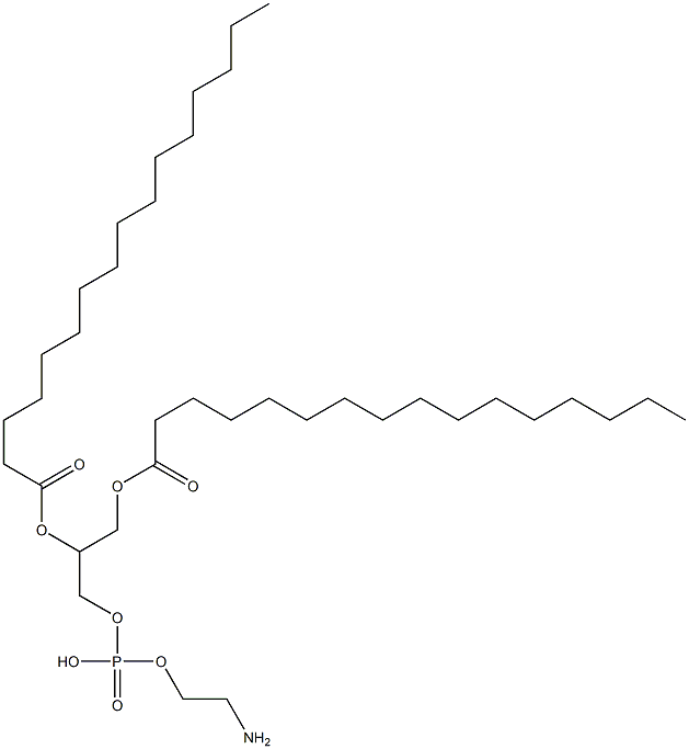rac-ビスヘキサデカン酸(R*)-1-[[[2-アミノエトキシ(ヒドロキシ)ホスフィニル]オキシ]メチル]-1,2-エタンジイル 化学構造式