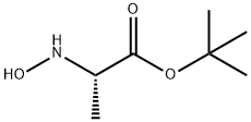 L-Alanine, N-hydroxy-, 1,1-dimethylethyl ester (9CI) Structure