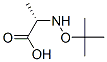 L-Alanine, N-(1,1-dimethylethoxy)- (9CI) Structure