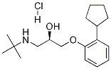(R)-Penbutolol Hydrochloride Struktur