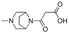 8-(Carboxyacetyl)-3-methyl-3,8-diazabicyclo[3.2.1]octane Structure