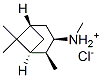 [1S-(1alpha,2beta,3alpha,5alpha)]-pinane-3-methylammonium chloride