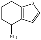 4,5,6,7-Tetrahydro-1-benzothiophen-4-amine Structure