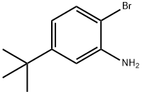 2-溴-5-叔丁基苯胺 结构式