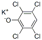 potassium 2,3,5,6-tetrachlorophenolate Structure