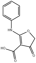 2-ANILINO-4-OXO-4,5-DIHYDROFURAN-3-CARBOXYLIC ACID 化学構造式