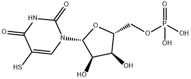 5-mercaptouridylic acid Struktur