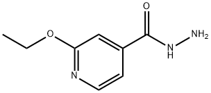 4-Pyridinecarboxylicacid,2-ethoxy-,hydrazide(9CI) 结构式