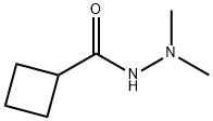 58585-57-2 Cyclobutanecarboxylic acid, 2,2-dimethylhydrazide (9CI)