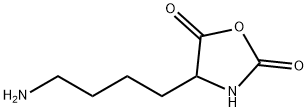 4-(4-aminobutyl)oxazolidine-2,5-dione Structure