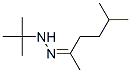 5-methylhexan-2-one tert-butylhydrazone Structure