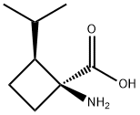 Cyclobutanecarboxylic acid, 1-amino-2-(1-methylethyl)-, (1S,2S)- (9CI),587829-78-5,结构式