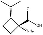 Cyclobutanecarboxylic acid, 1-amino-2-(1-methylethyl)-, (1R,2R)- (9CI),587829-80-9,结构式