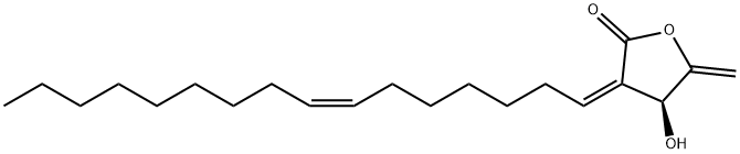 (S)-4,5-Dihydro-3-[(1Z,7Z)-hexadecan-7-enylidene]-4-hydroxy-5-methylenefuran-2(3H)-one Structure