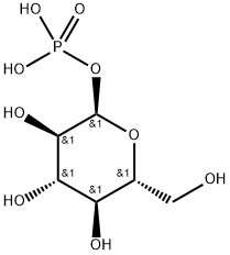 glucose 1-(dihydrogen phosphate) 