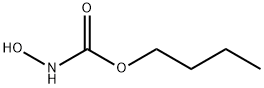 N-Hydroxycarbamic acid butyl ester|