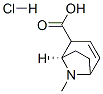 (1R)-8-methyl-8-azabicyclo[3.2.1]oct-3-ene-2-carboxylic acid hydrochloride|(1R)-8-甲基-8-氮杂双环[3.2.1]辛-3-烯-2-羧酸盐酸盐