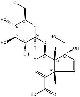 (1S,2S,6S,9R)-9-hydroxy-9-(hydroxymethyl)-2-[(2S,3R,4S,5R,6R)-3,4,5-trihydroxy-6-(hydroxymethyl)oxan-2-yl]oxy-3-oxabicyclo[4.3.0]nona-4,7-diene-5-carboxylic acid|水晶兰苷