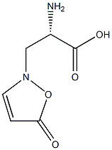 β-(5-Oxo-3-isoxazolin-2-yl)-L-alanine Struktur