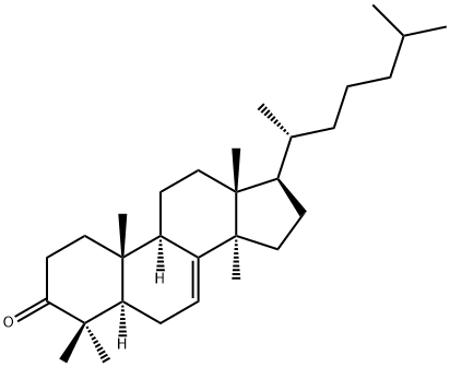 Lanost-7-en-3-one Structure