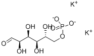 D-GLUCOSE-6-PHOSPHATE DIPOTASSIUM SALT|D-葡萄糖-6-磷酸二钾盐