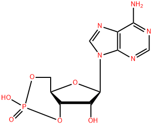 环磷腺苷 结构式