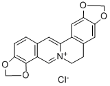 Coptisine chloride Struktur