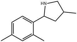Pyrrolidine, 2-(2,4-dimethylphenyl)-4-methyl- (9CI),603068-17-3,结构式