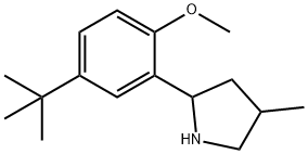 Pyrrolidine, 2-[5-(1,1-dimethylethyl)-2-methoxyphenyl]-4-methyl- (9CI)|