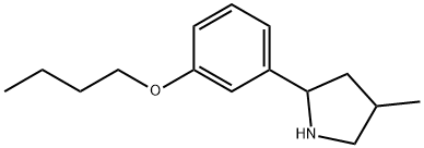 Pyrrolidine, 2-(3-butoxyphenyl)-4-methyl- (9CI) Structure