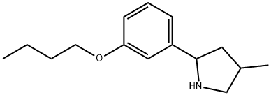 Pyrrolidine, 2-(3-butoxyphenyl)-4-methyl- (9CI),603089-76-5,结构式