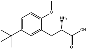 DL-5-(1,1-Dimethylethyl)-2-methoxyphenylalanine,603106-34-9,结构式