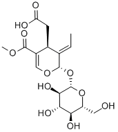 ELENOLIC ACID 2-O-GLUCOSIDE