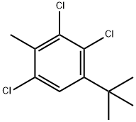 2,3,6-trichloro-4-tert-butyltoluene|