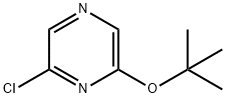 2-CHLORO-6-TERT-BUTYL PYRAZINE,614729-25-8,结构式