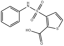 2-THIOPHENECARBOXYLIC ACID, 3-[(PHENYLAMINO)SULFONYL]- Structure