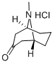 PSEUDOPELLETIERINE HYDROCHLORIDE