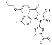 SALOR-INT L439339-1EA|