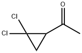 Ethanone, 1-(2,2-dichlorocyclopropyl)- (9CI),61971-73-1,结构式