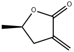 5-METHYL-3-METHYLENE-DIHYDRO-FURAN-2-ONE Structure